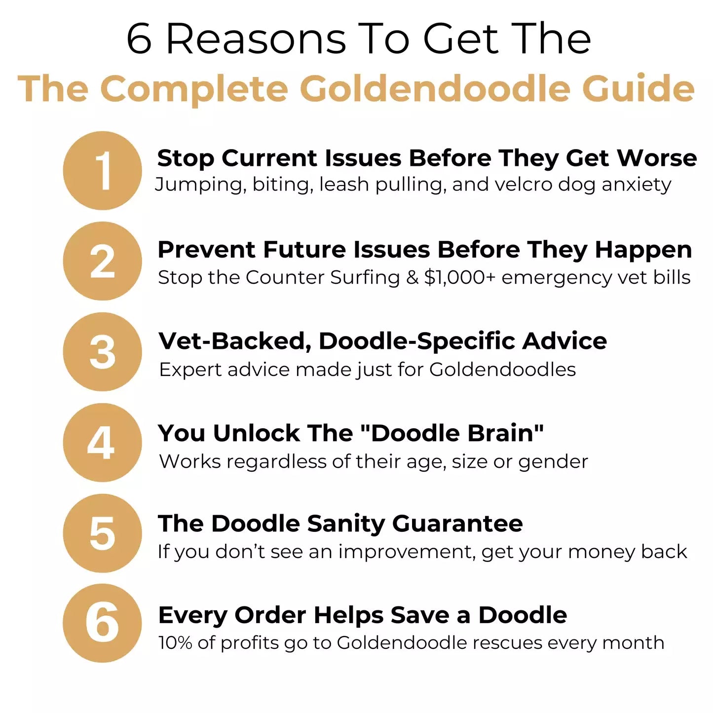 The Complete GoldenDoodle Guide