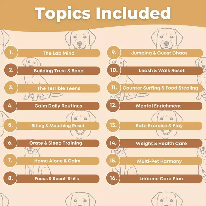 The Complete Labrador Guide