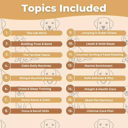 The Complete Labrador Guide