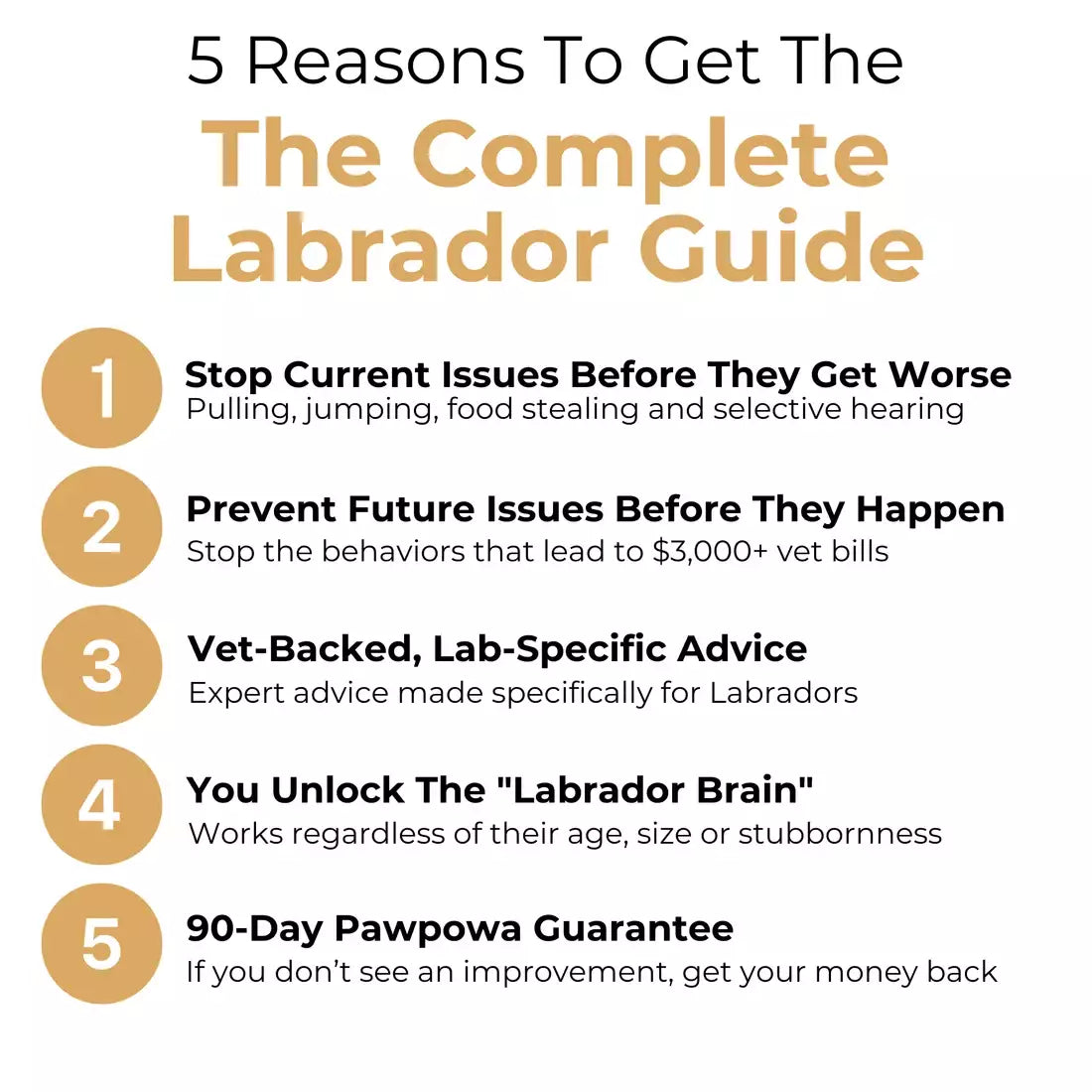 The Complete Labrador Guide