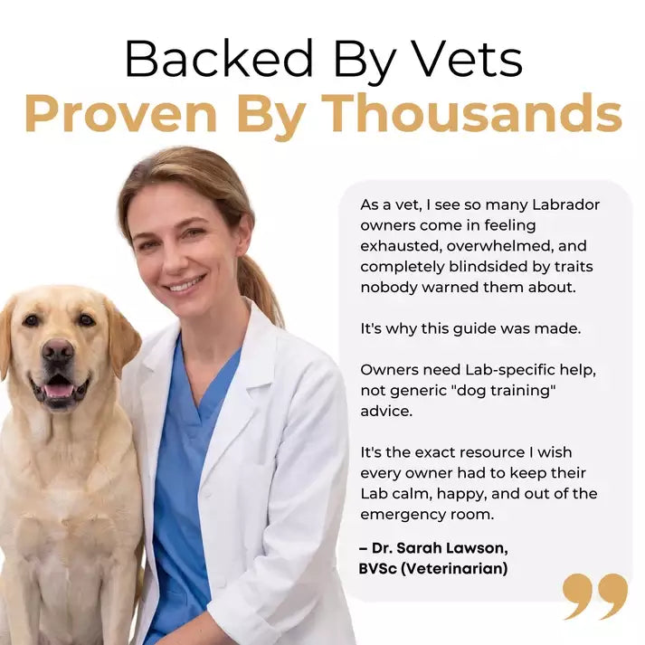 The Complete Labrador Guide