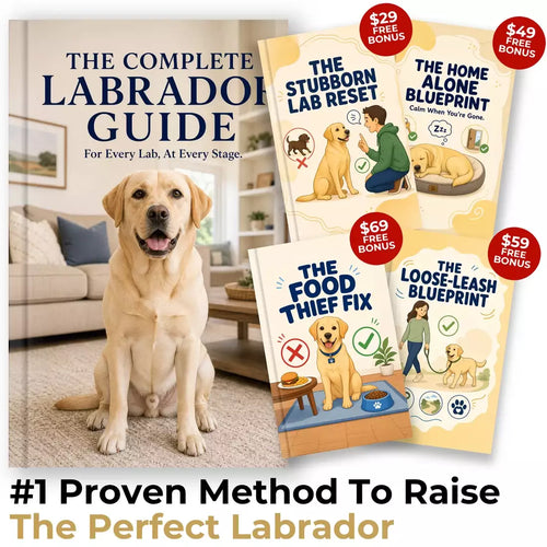 The Complete Labrador Guide